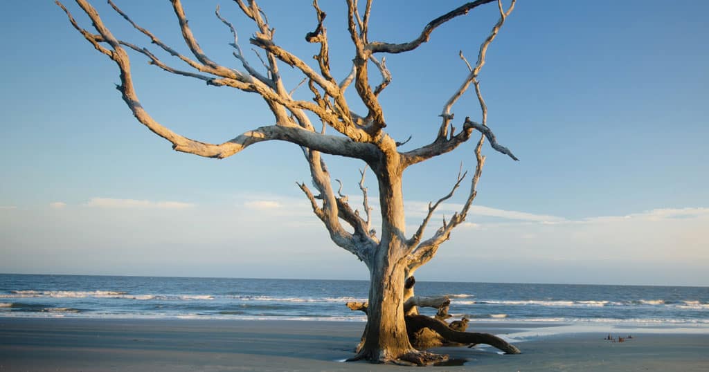 Wild Dunes Resort Adds Epic Adventure to South Carolina Meetings