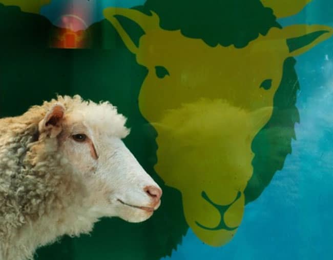 Scotland innovations