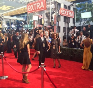 2015 Emmy Awards, Los Angeles, event planner, Hollywood