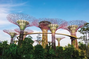 Singapore, Gardens by the Bay, meeting planning
