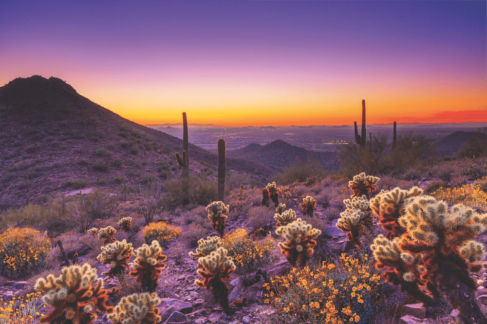 Sonoran Desert, Sonoran Desert, Photo Courtesy of Scottsdale Convention & Visitors Bureau