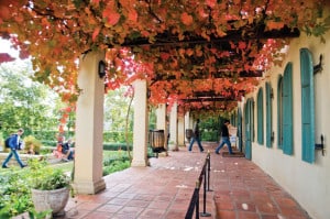 South Africa, meeting planning