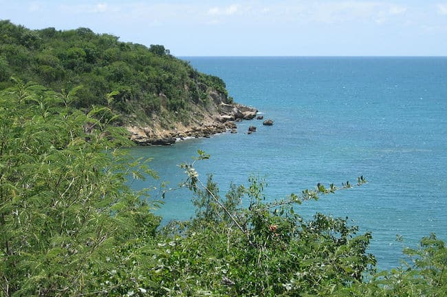Guanica State Forest