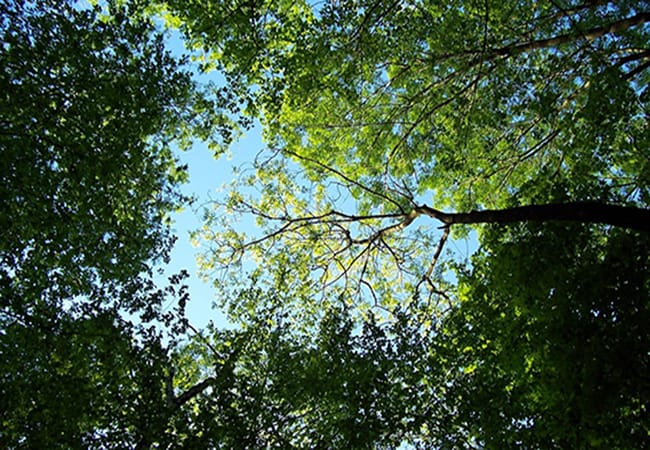 Carbon-reduction carbon reduction, meetings