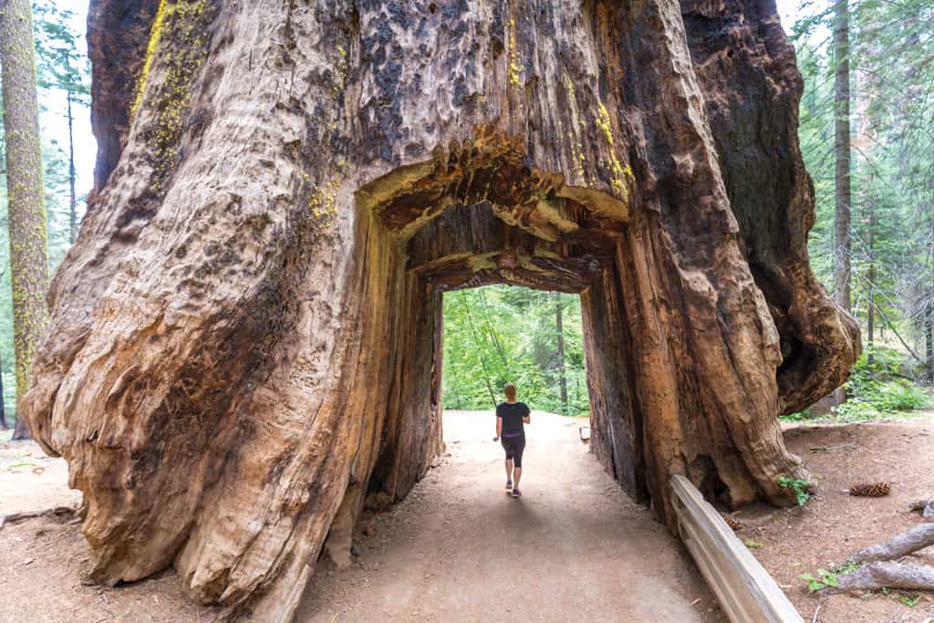 Yosemite National Park’s Outdoor Splendor Revitalizes Groups