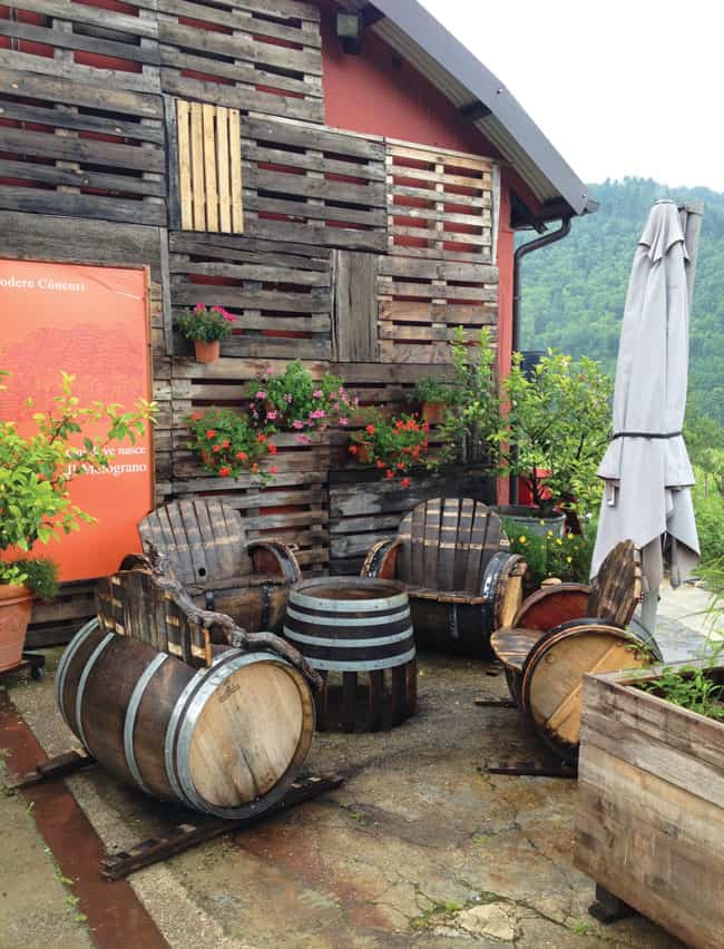 Discover: Biodynamic Wine Tasting in Tuscany