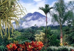 Costa-Rica-jungle