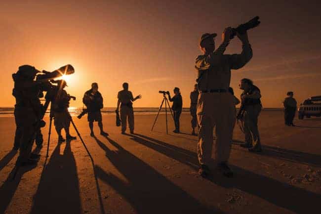 Florida Birding and Photo Fest