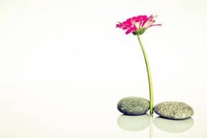 Meet Well Meet Well, wellness, meeting