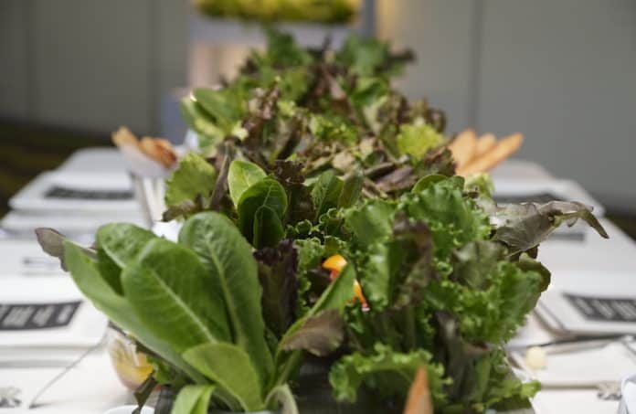 Condado Plaza Hilton, Puerto Rico, wellness