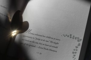 Black History Month, Zora Neale Hurston, African American anthropologists, networking, event networking, meeting networking