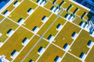 Javits-Center-green-roof-photo-credit-Javitscenter