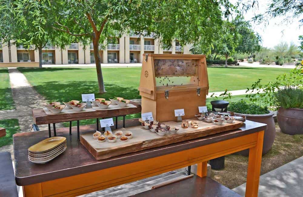 bee breaks, sustainability, green trends, JW Marriott Phoenix Desert Ridge Resort & Spa, Phoenix, Arizona, wellness, chef's garden