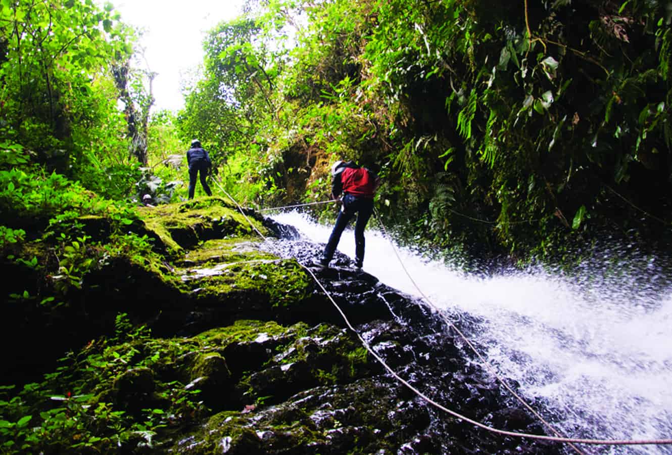 Tiptoe Through the Orchids & Other Quito To-Dos