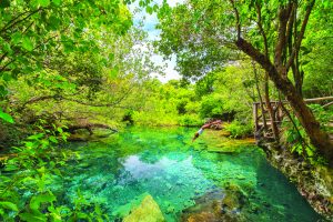 Indigenous Eyes Ecological Park and Reserve