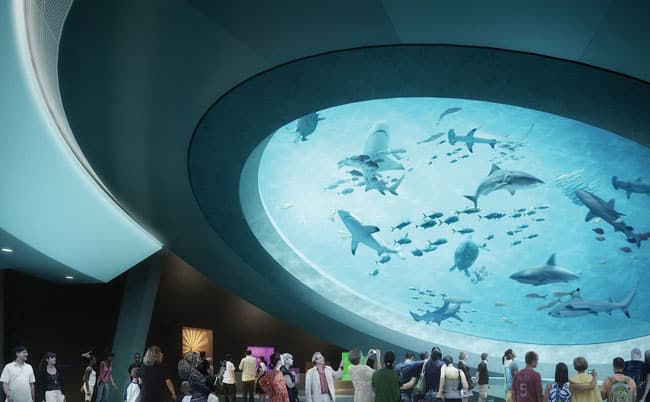 VIP Experiences for Groups in Miami