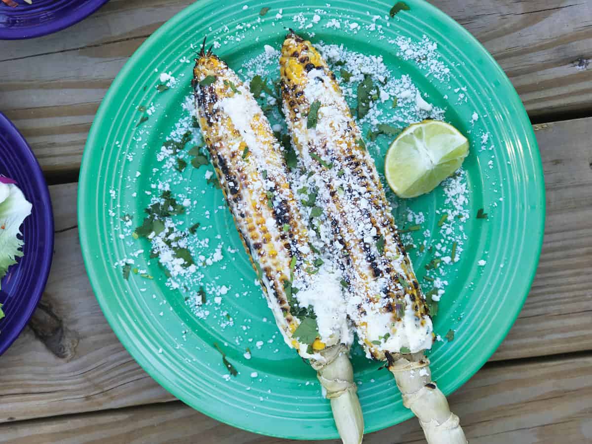 Oyster Love Blooms Eternal in Panama City, Florida