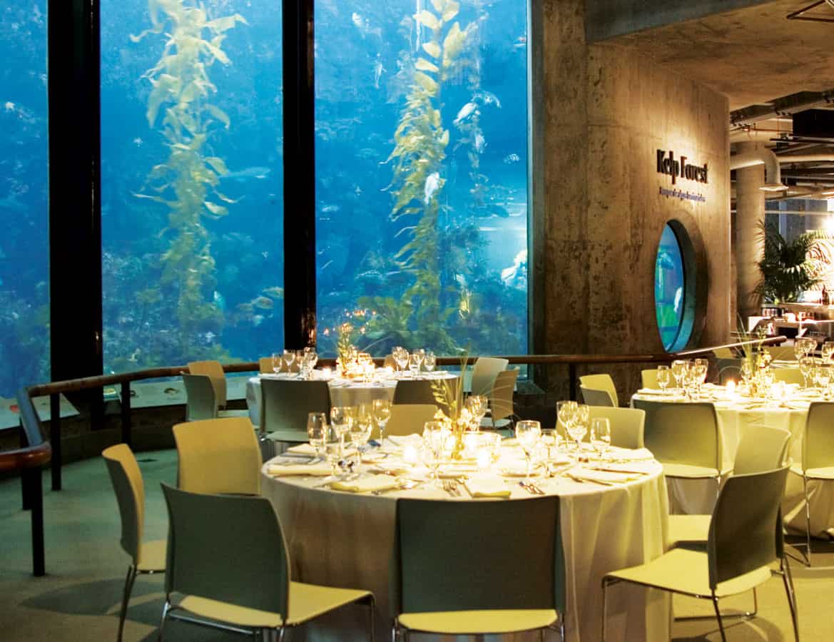 “All Hands on Deck” at Cisco’s Executive Leadership Meeting