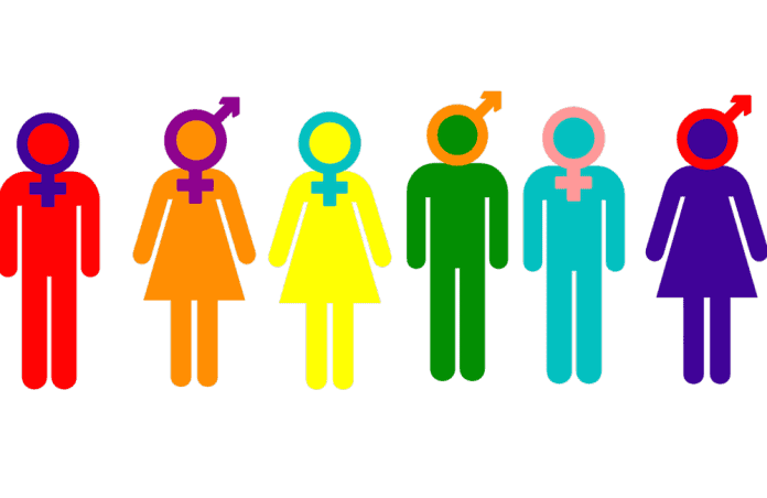 gender-debate Expect Diversity, gender debate, Google, Google memo, gender bias, gender identity, Hidden Brain