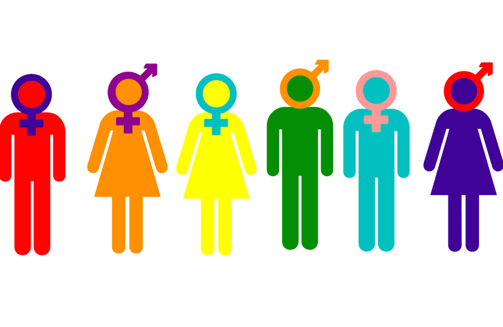 Expect Diversity, gender debate, Google, Google memo, gender bias, gender identity, Hidden Brain