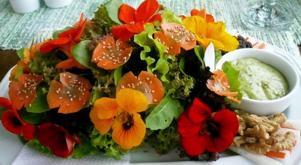 edible flowers, meetings