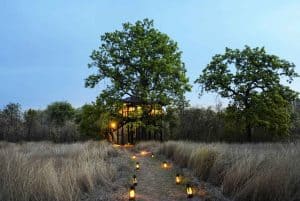 Pench-Tree-Lodge