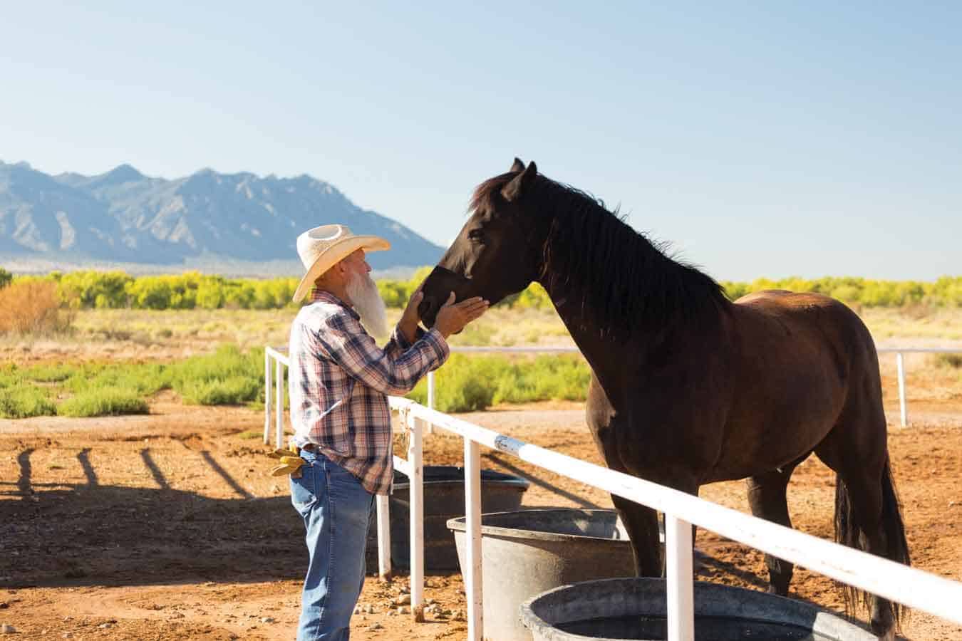 Here’s Why Horsing Around With Hyatt Can Mean Big Business