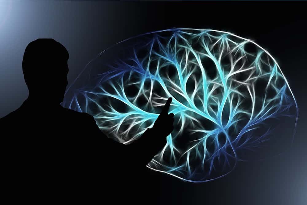 cognitive bias, biases, Expect Diversity, thought leadership, brain