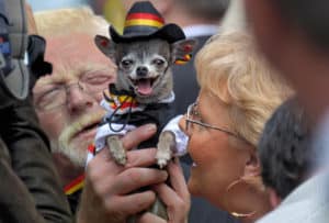 emotional support animals, airlines, American Airlines, United, Delta, airline restrictions