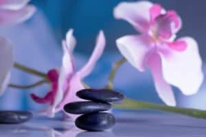 Wellness-Meetings wellness, Flip the Script, wellness meetings, Hallie Sculler, Happy Being, The Great Office Escape