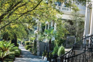 Savannah
