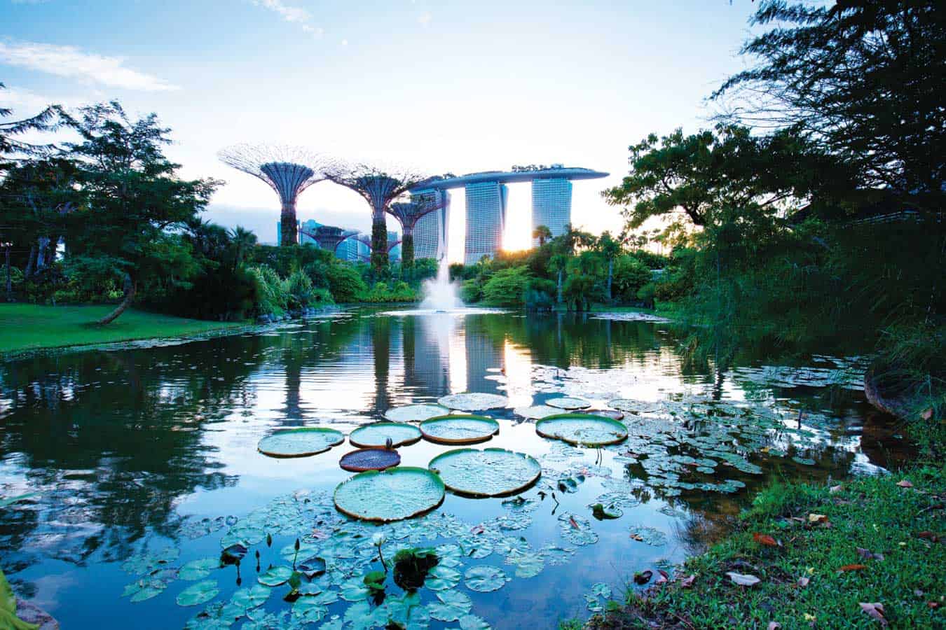 Singapore Proves It: A Green City is a City of the Future