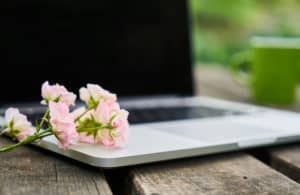Flower Keyboard Technology Nature Computer Work meeting industry blogs, meetings