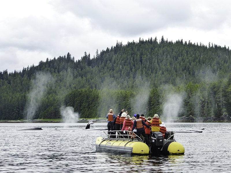Expedition Cruises Are a Unique Option for Meetings and Incentives