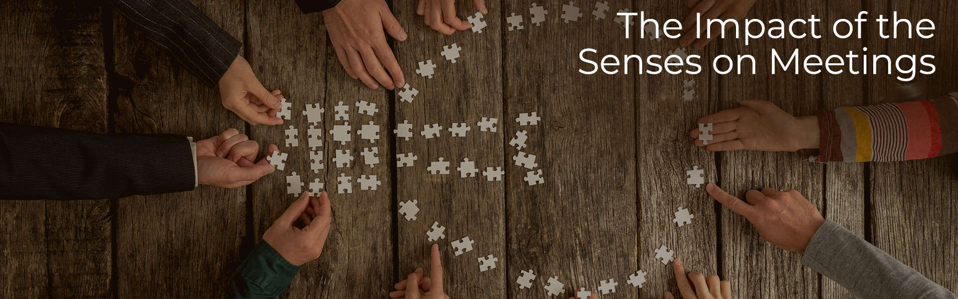 Impact Senses Header Impact Senses Header