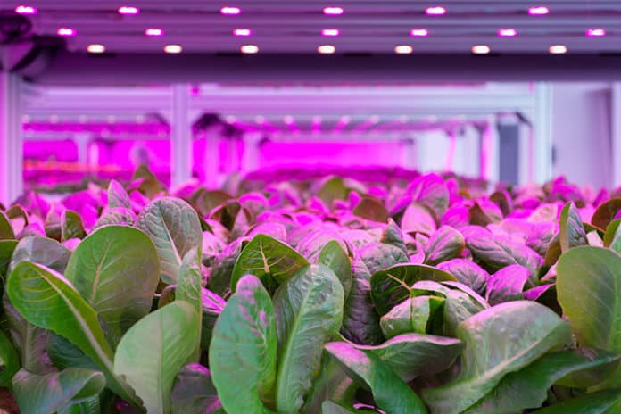 F&B food and beverage