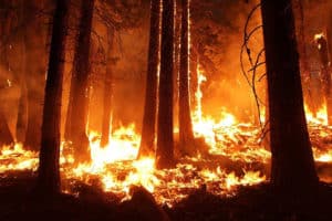 fires fires