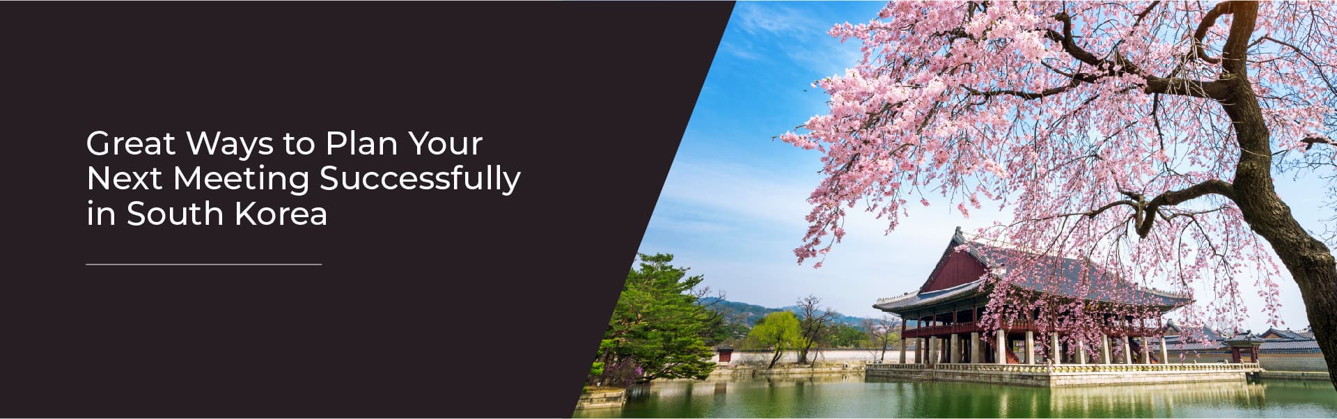 P-Meetings in Korea-after-webinar