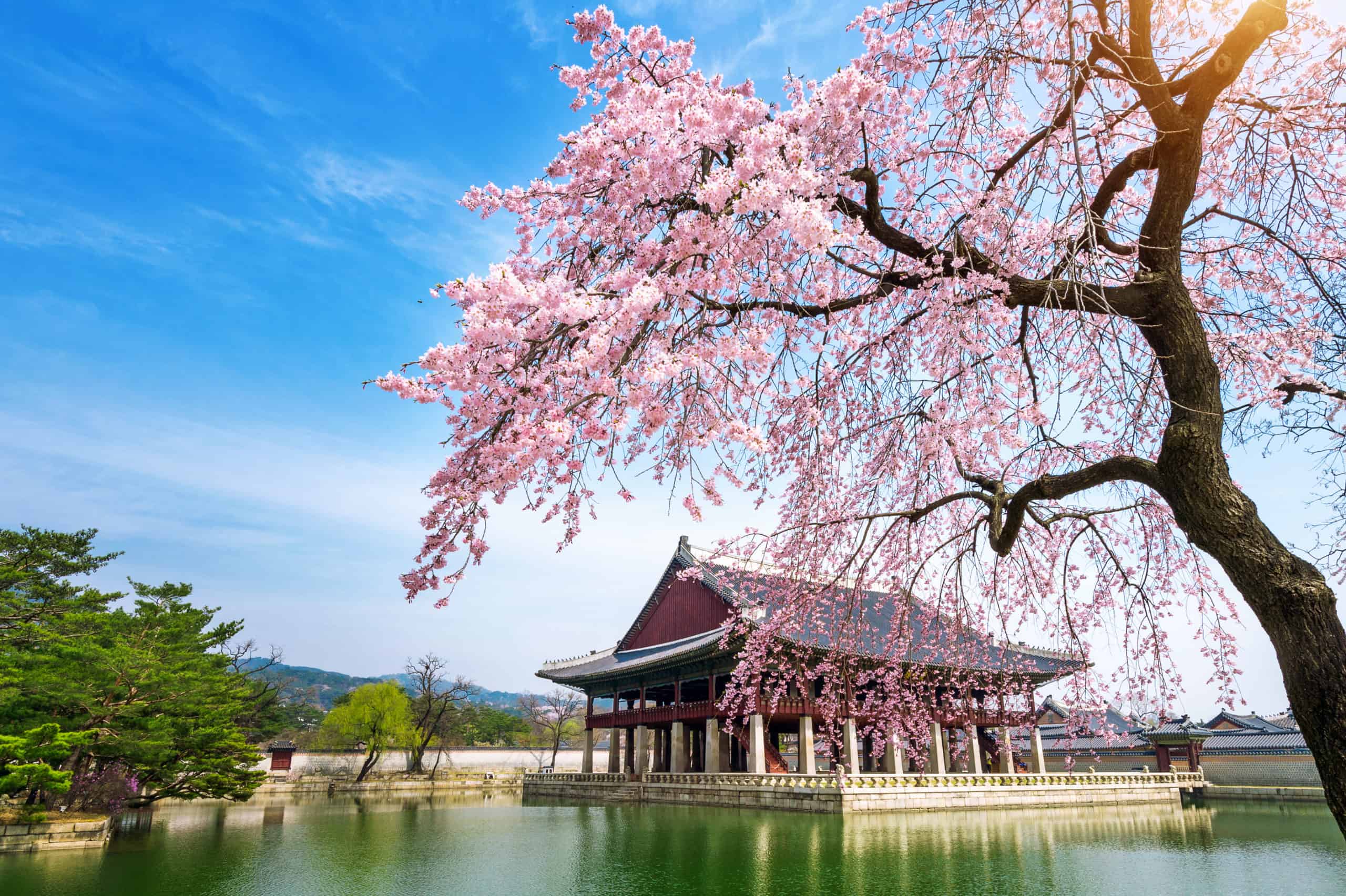 Great Ways to Plan Your Next Meeting Successfully in South Korea