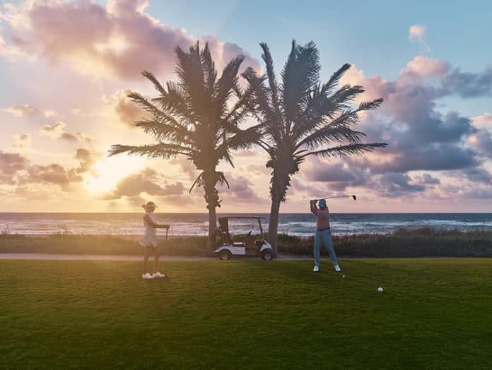 The Palm Beaches Palm Beaches