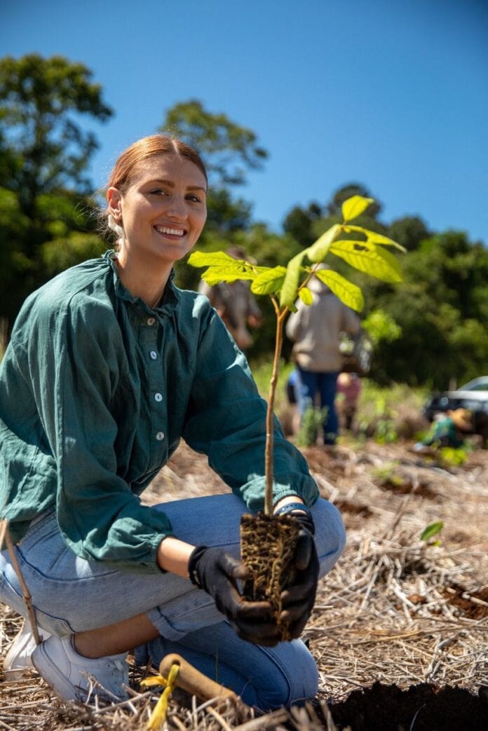 gift trees australia gift trees