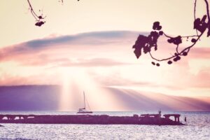 max-harlynking-QPNmp9EcY5w-unsplash