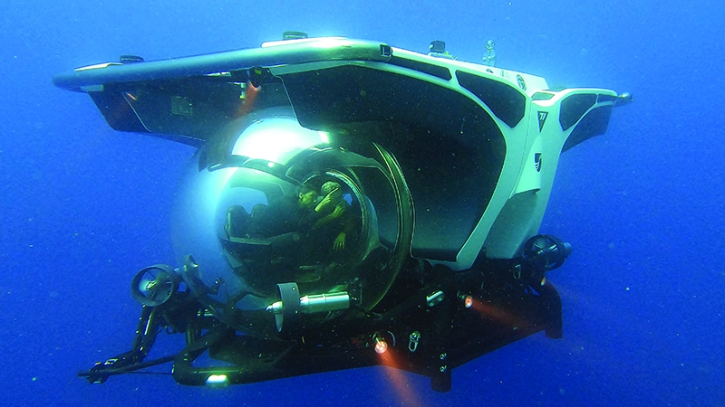 3 Cruise Lines, 1 Common Goal — Creating Memorable Experiences