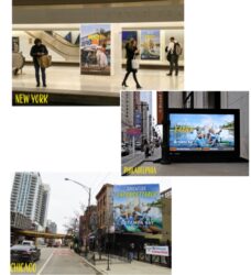 Examples cropped 800