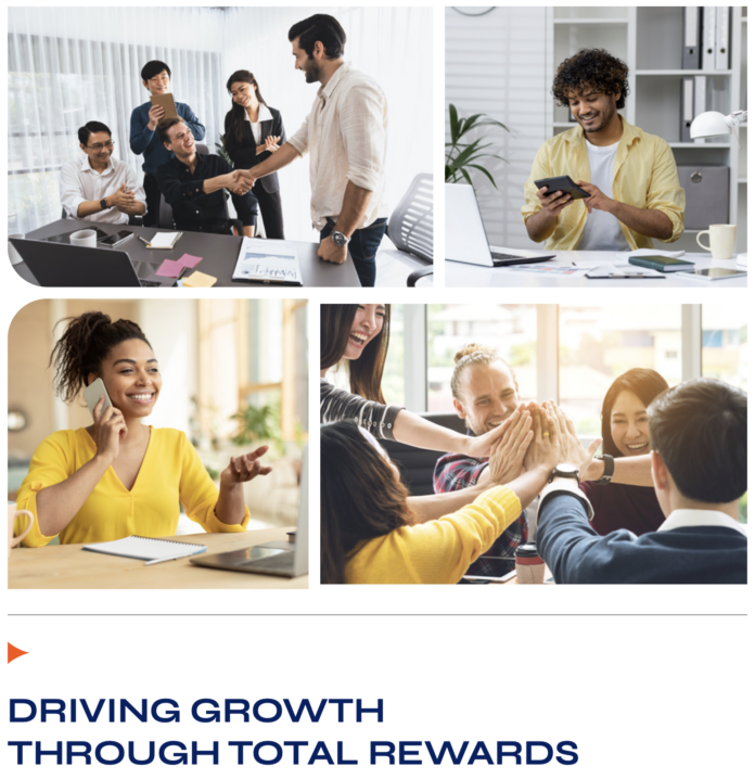 Study on top performing companies incentive strategies cover of Driving Growth Through Total Rewards,