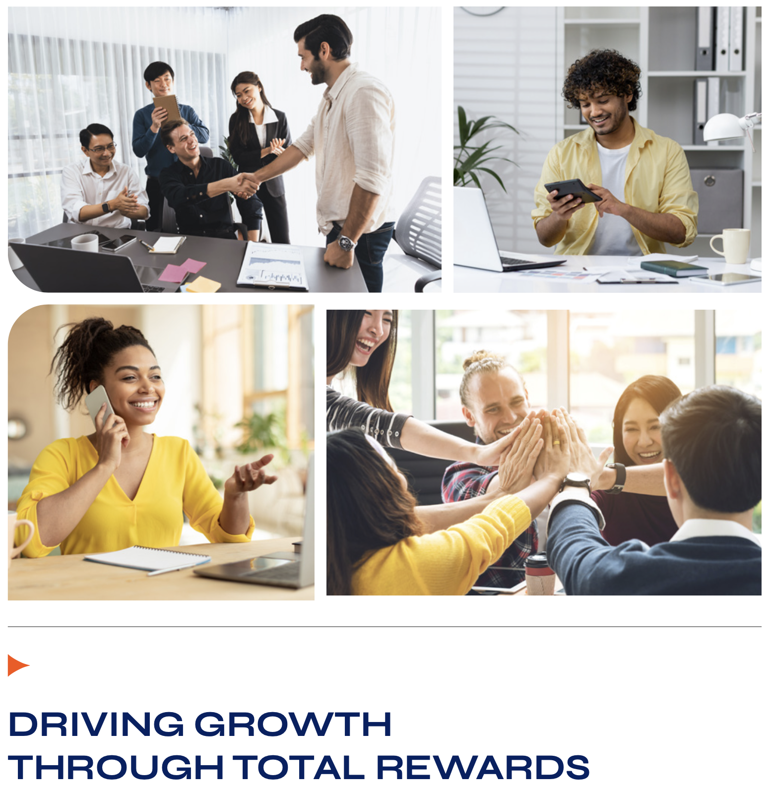 cover of Driving Growth Through Total Rewards,