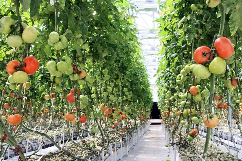 Top 10 F&B Trends for 2025