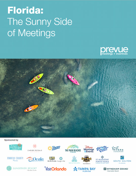 Visit-Florida_WhitePaper_2025.pdf