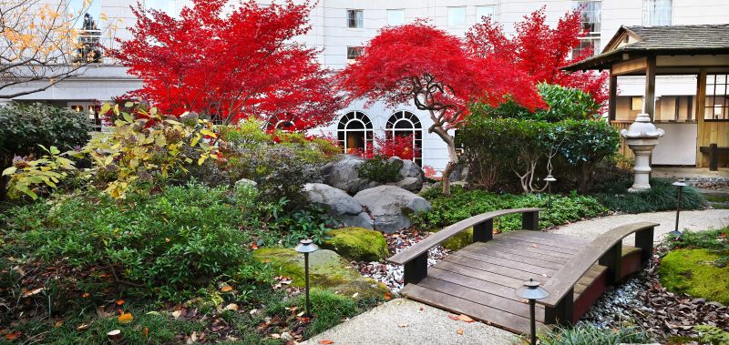 The Grand Hyatt Atlanta in Buckhead.