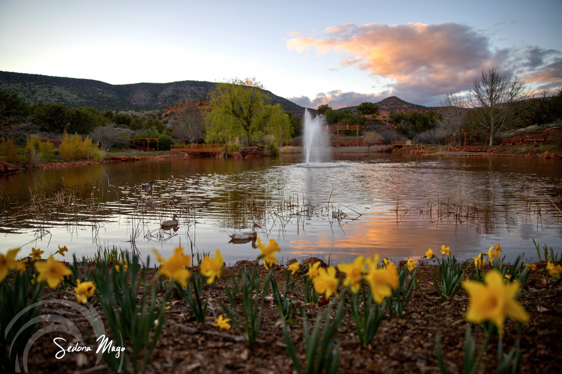 Sedona Mago Center for Well-Being and Retreat in Sedona, Ariz., provides an ideal setting for corporate retreats looking for a meaningful and impactful experience.